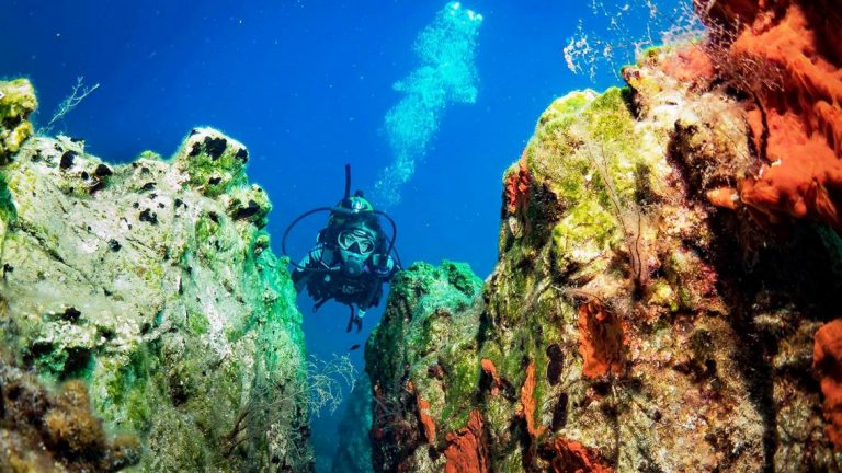 datça-dalış-sualtı-tüplü-scuba