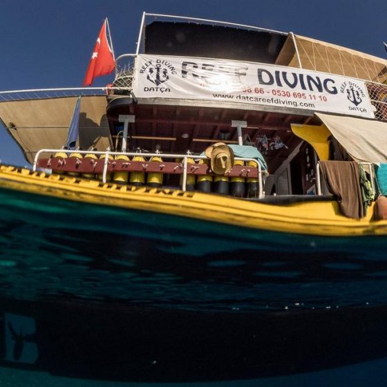 datça reef diving dalış teknesi